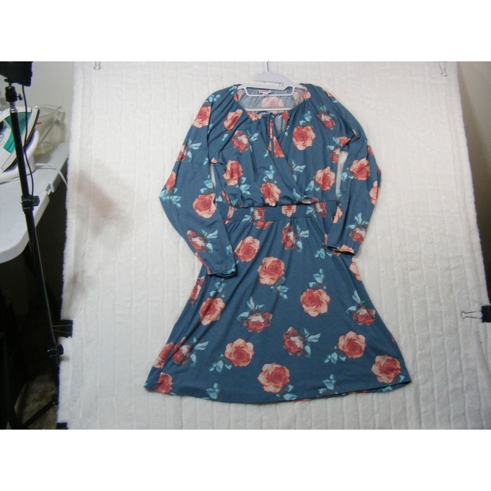 LuLaRoe Floral Long Sleeve Dress Womens Medium Blue Pink Excellent Smocked Waist